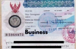 Visa planning for expats