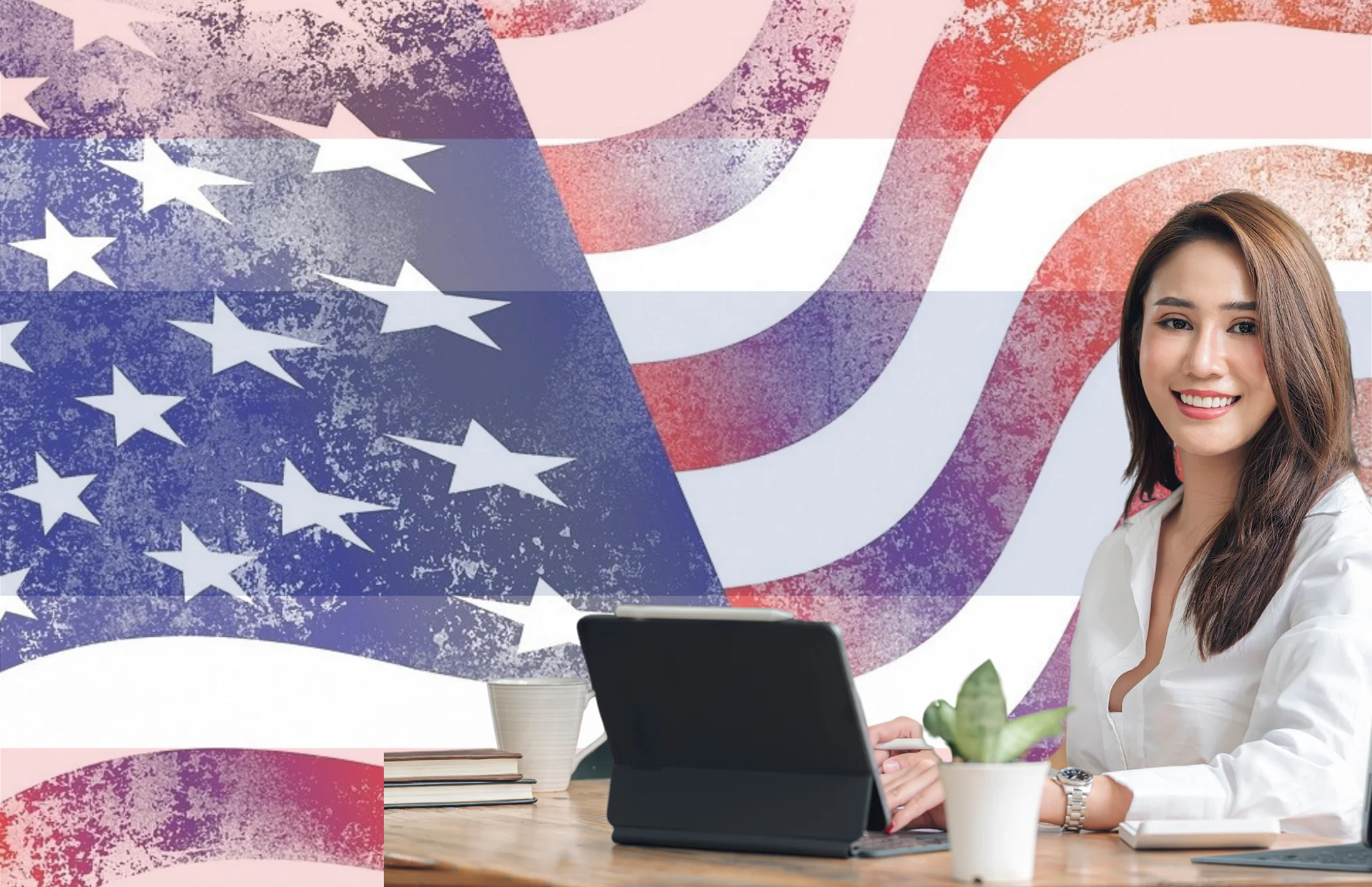 Professional reviewing entity comparison and jurisdiction selection documents